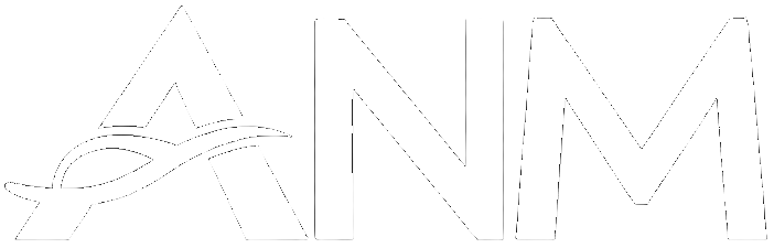 ANM Shoes